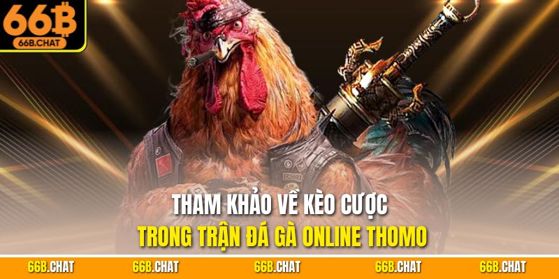 Tham khảo về kèo cược trong trận đá gà online Thomo